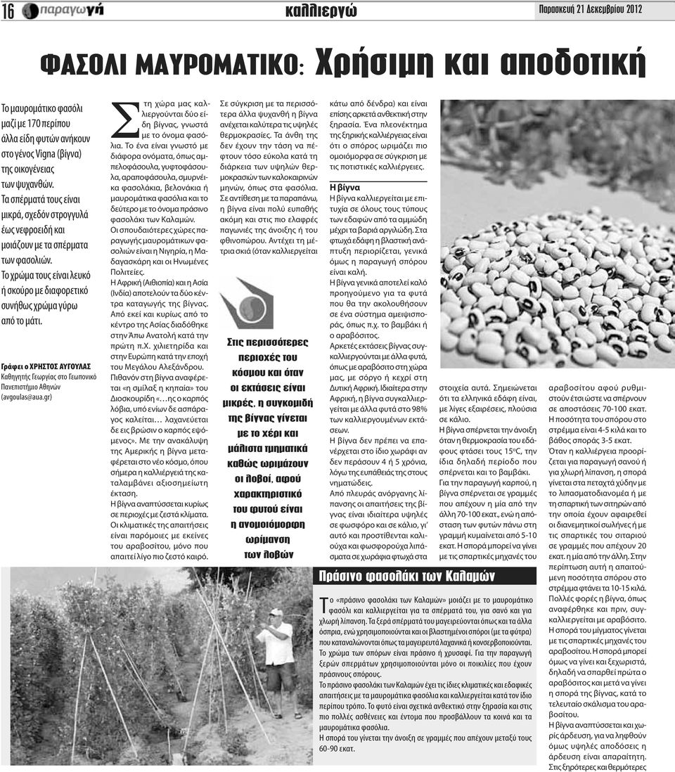 Γράφει ο ΧΡΗΣΤΟΣ ΑΥΓΟΥΛΑΣ Καθηγητής Γεωργίας στο Γεωπονικό Πανεπιστήμιο Αθηνών (avgoulas@aua.gr) Στη χώρα μας καλλιεργούνται δύο είδη βίγνας, γνωστά με το όνομα φασόλια.