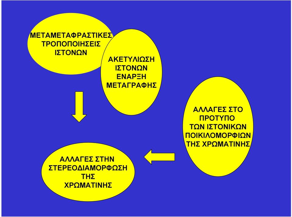 ΣΤΟ ΠΡΟΤΥΠΟ ΤΩΝ ΙΣΤΟΝΙΚΩΝ ΠΟΙΚΙΛΟΜΟΡΦΙΩΝ ΤΗΣ