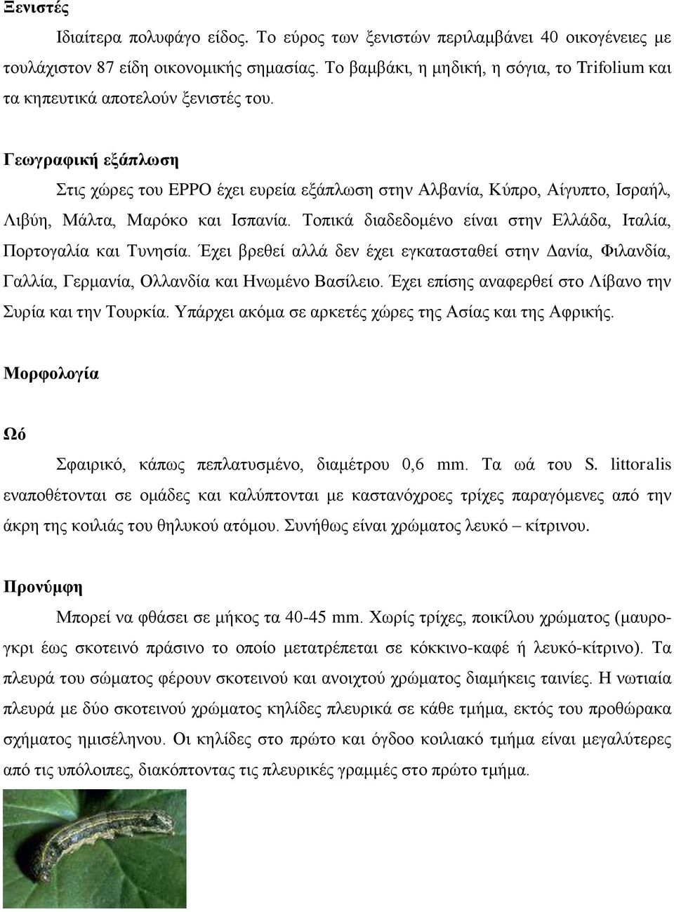 Γεσγξαθηθή εμάπισζε Σηηο ρώξεο ηνπ EPPO έρεη επξεία εμάπισζε ζηελ Αιβαλία, Κύπξν, Αίγππην, Ιζξαήι, Ληβύε, Μάιηα, Μαξόθν θαη Ιζπαλία.