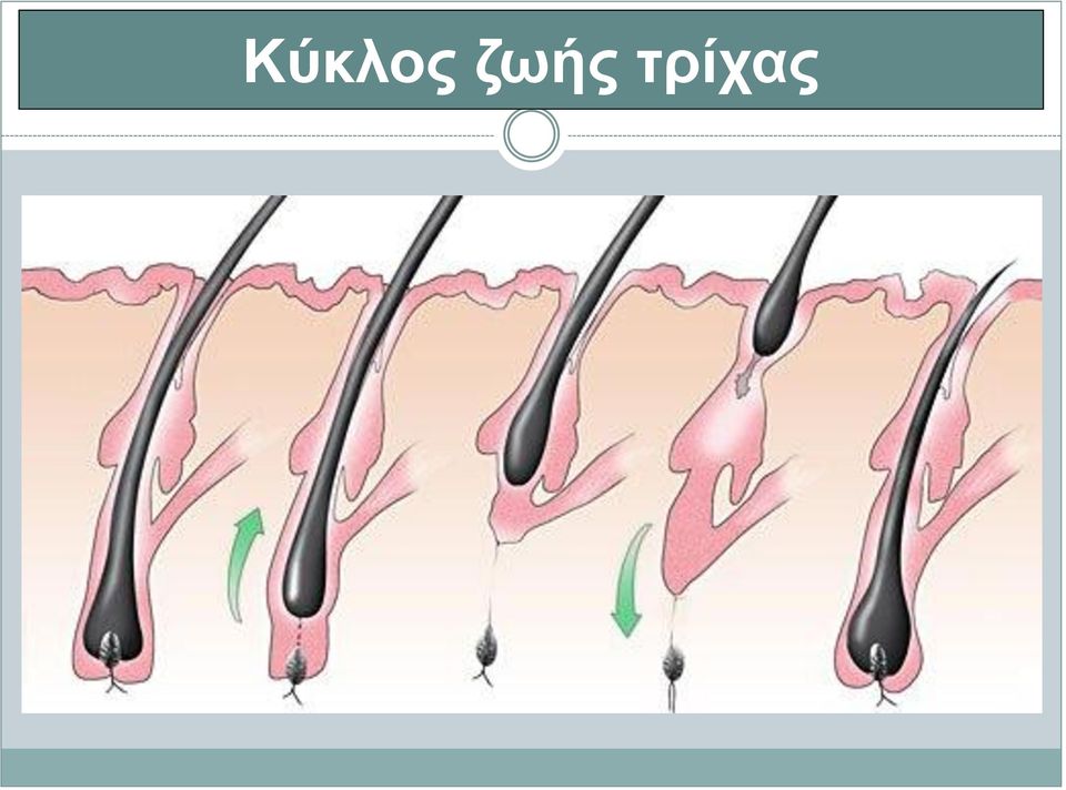 ηξίραο