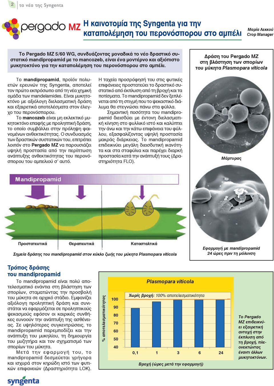 ÄñÜóç ôïõ Pergado ÌÆ óôç âëüóôçóç ôùí óðïñßùí ôïõ ìýêçôá Plasmopara viticola Ôï mandipropamid, ðñïúüí ðïëõåôþí åñåõíþí ôçò Syngenta, áðïôåëåß ôïí ðñþôï åêðñüóùðï áðü ôç íýá çìéêþ ïìüäá ôùí