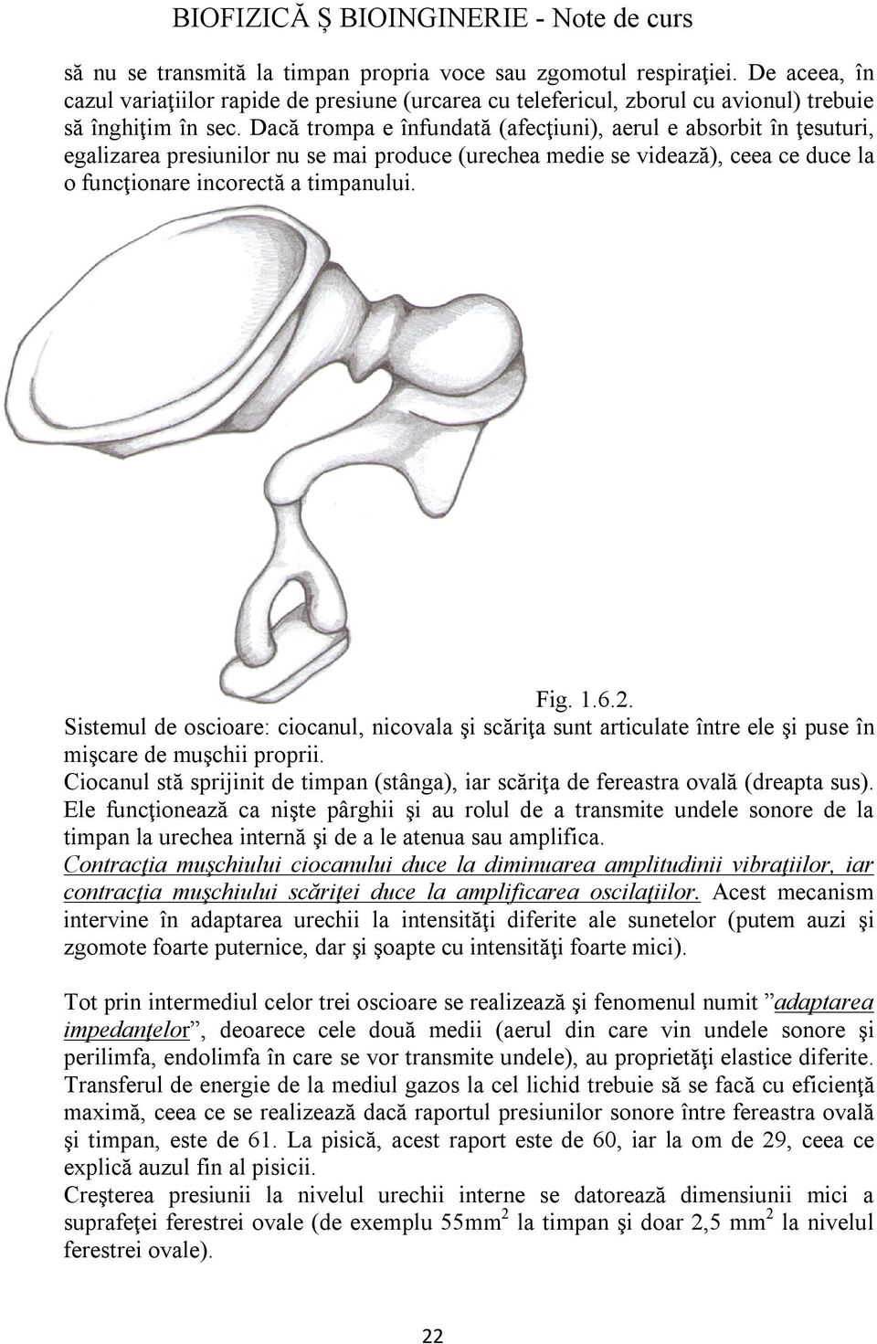 Dacă trompa e înfundată (afecţiuni), aerul e absorbit în ţesuturi, egalizarea presiunilor nu se mai produce (urechea medie se videază), ceea ce duce la o funcţionare incorectă a timpanului. Fig. 1.6.