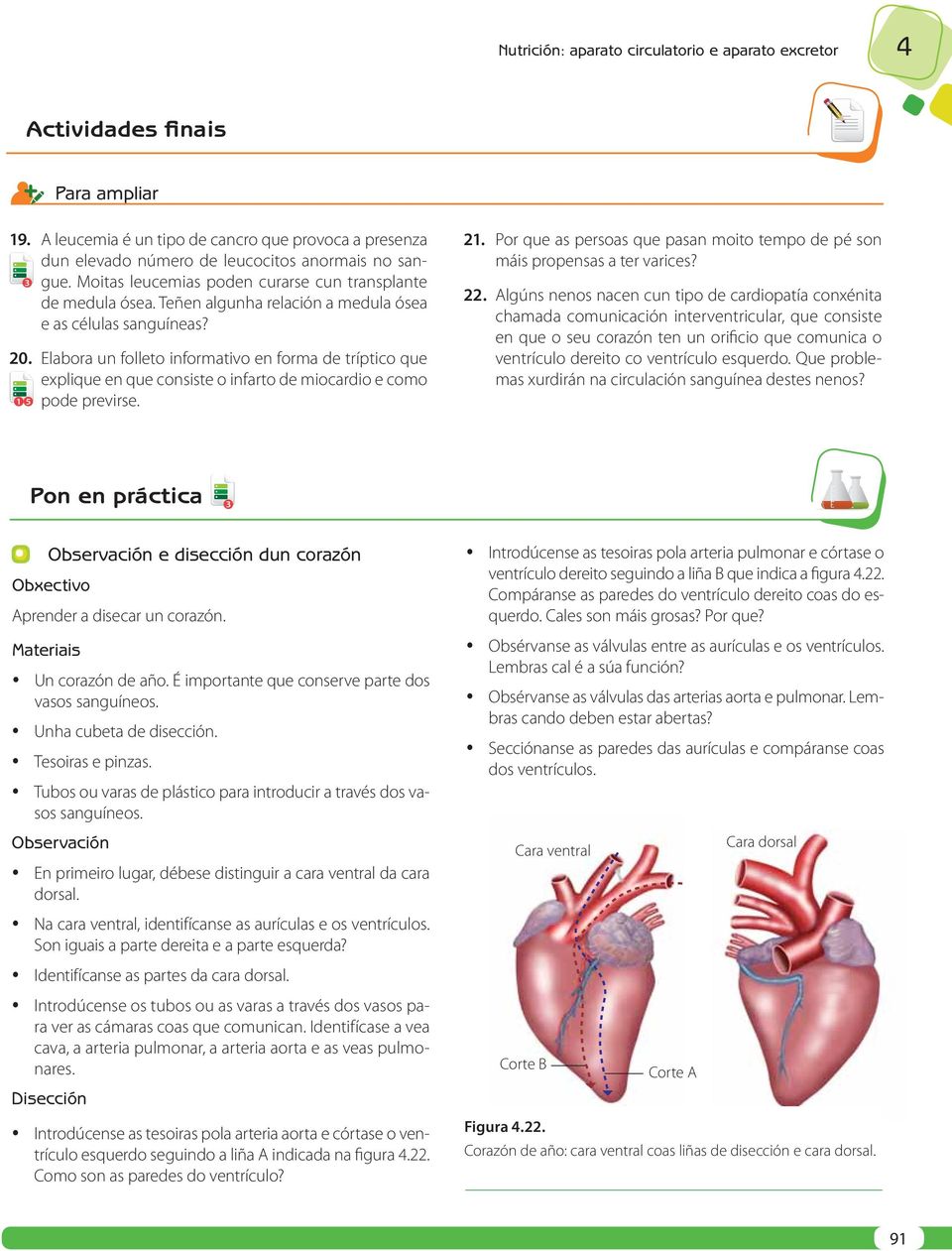 Elabora un folleto informativo en forma de tríptico que explique en que consiste o infarto de miocardio e como 1 5 pode previrse. 21.