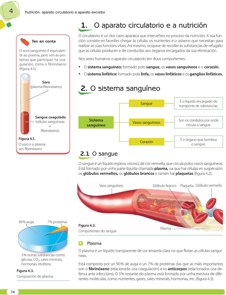 Soro (plasma-fibrinóxeno) O circulatorio é un dos catro aparatos que interveñen no proceso da nutrición.