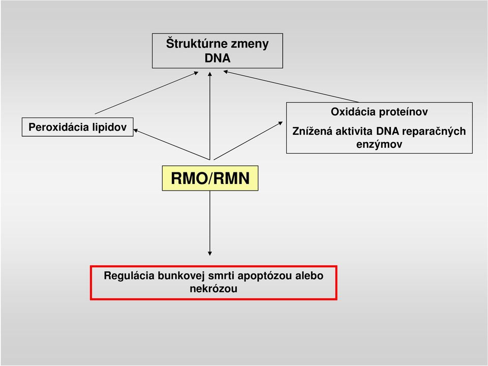 aktivita DNA reparačných enzýmov