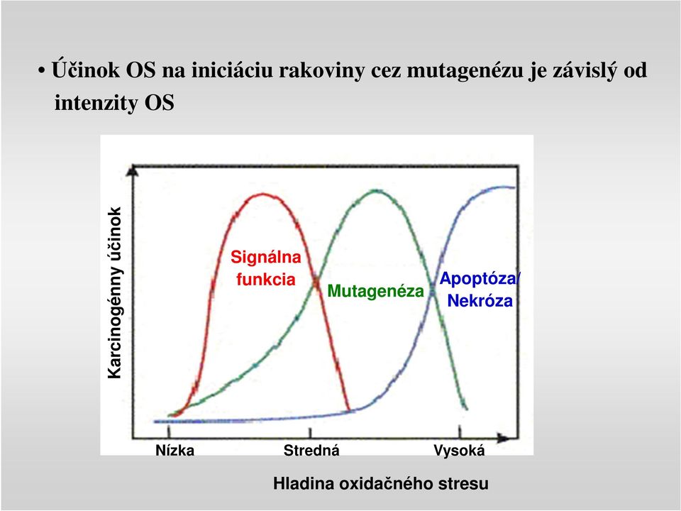 Signálna funkcia Mutagenéza Apoptóza/ Nekróza