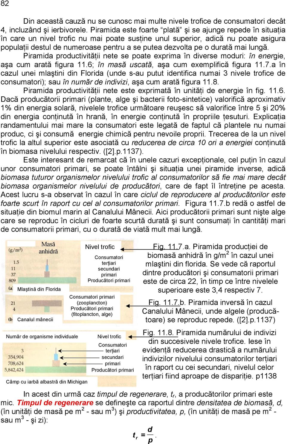 pe o durată mai lungă. Piramida productivităţii nete se poate exprima în diverse moduri: în energie, aşa cum arată figura 11.6; în masă uscată, aşa cum exemplifică figura 11.7.