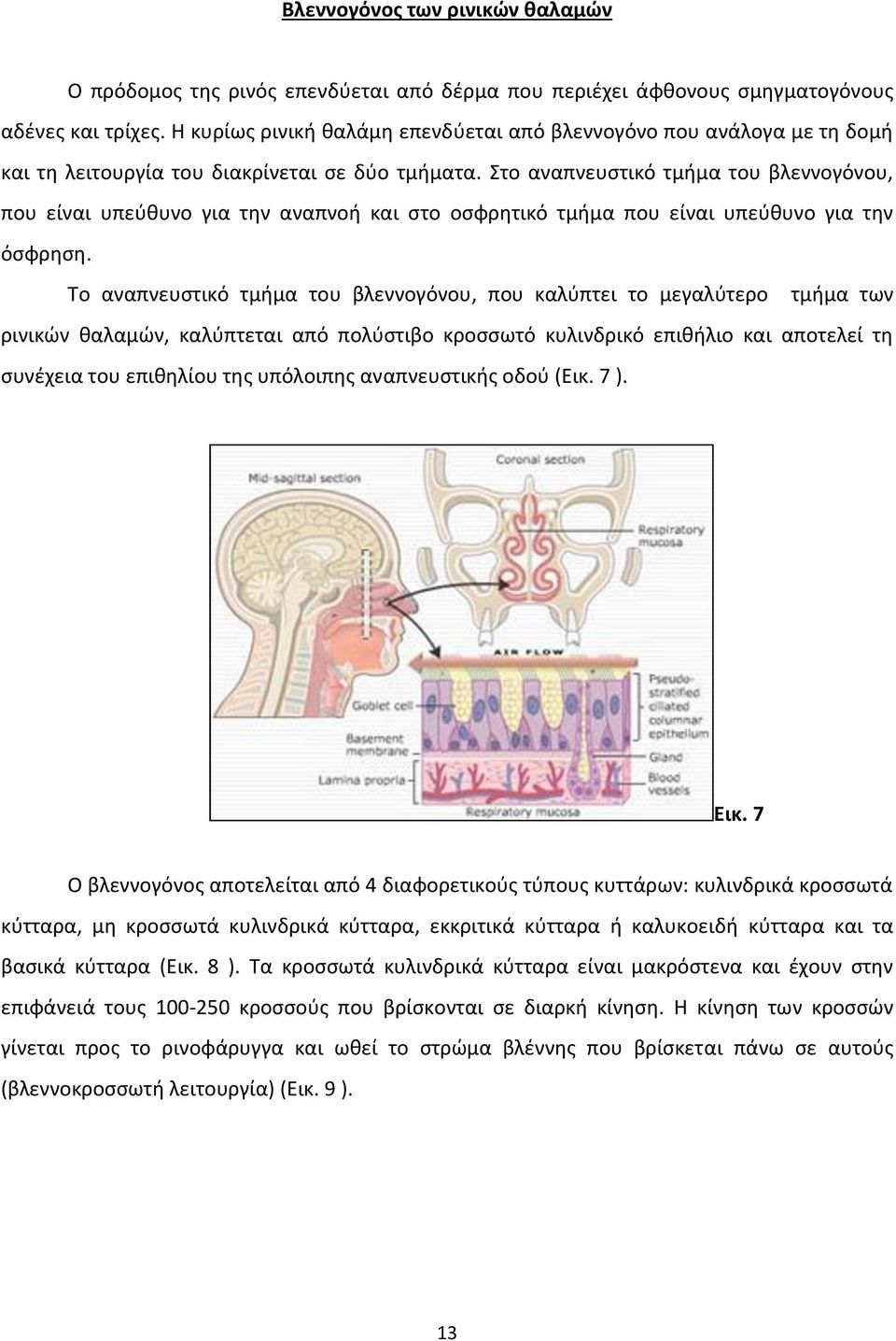 Στο αναπνευστικό τμήμα του βλεννογόνου, που είναι υπεύθυνο για την αναπνοή και στο οσφρητικό τμήμα που είναι υπεύθυνο για την όσφρηση.