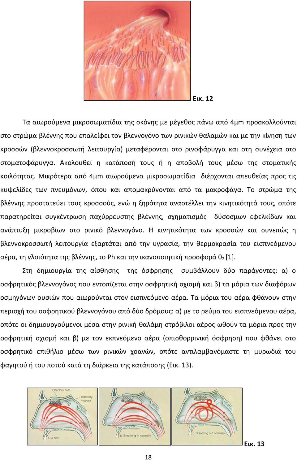 Μικρότερα από 4μm αιωρούμενα μικροσωματίδια διέρχονται απευθείας προς τις κυψελίδες των πνευμόνων, όπου και απομακρύνονται από τα μακροφάγα.