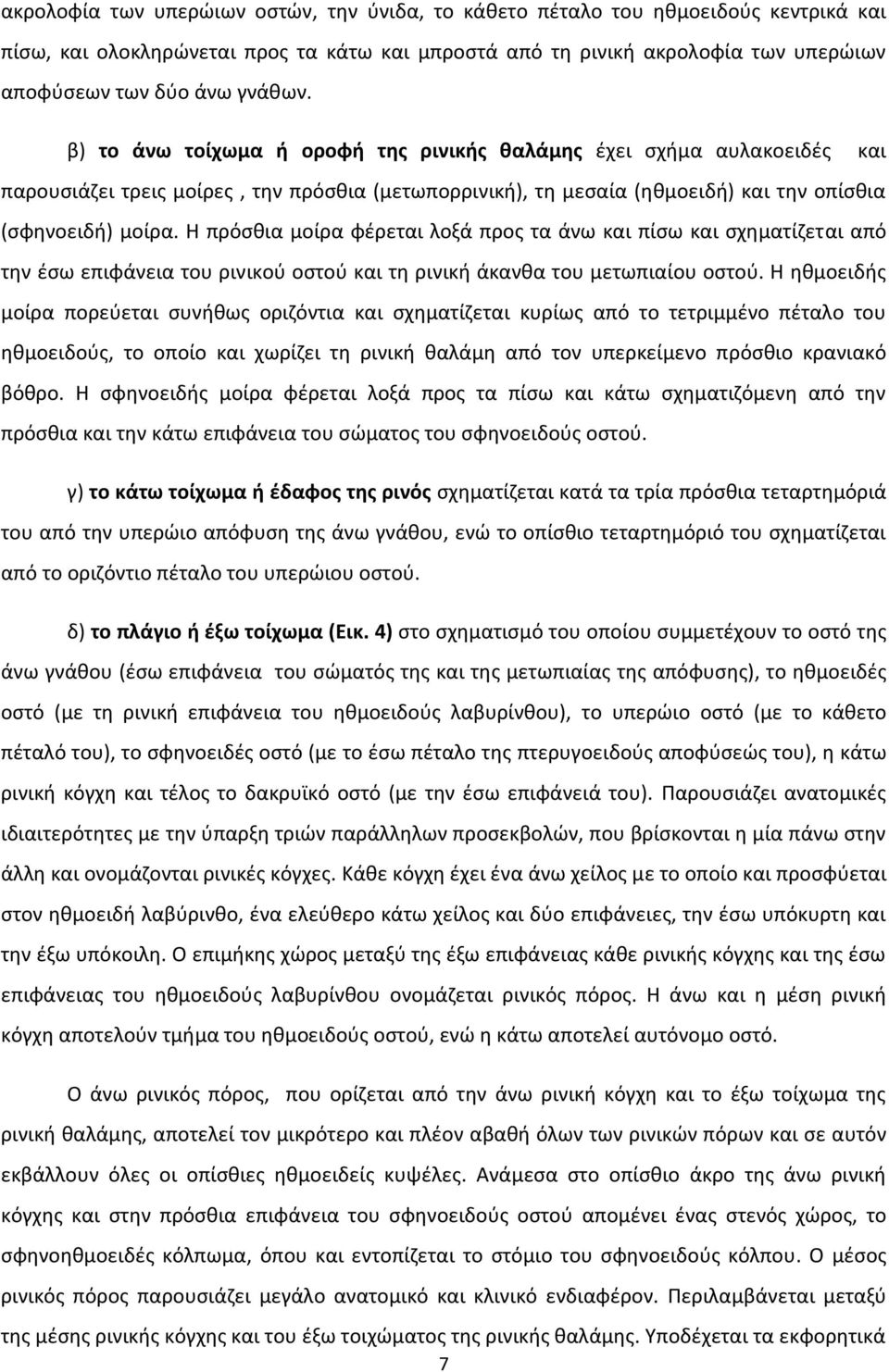 Η πρόσθια μοίρα φέρεται λοξά προς τα άνω και πίσω και σχηματίζεται από την έσω επιφάνεια του ρινικού οστού και τη ρινική άκανθα του μετωπιαίου οστού.