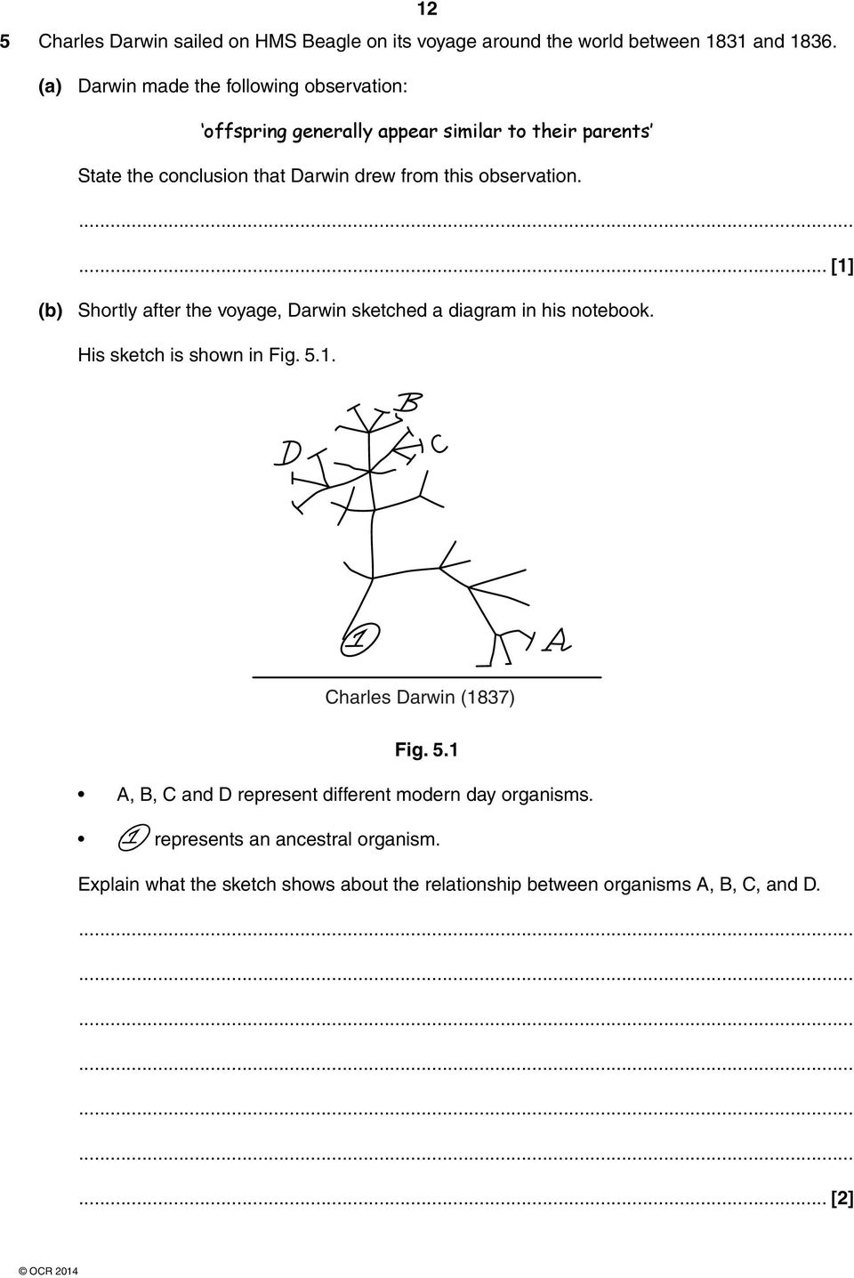 observation.... [1] (b) Shortly after the voyage, Darwin sketched a diagram in his notebook. His sketch is shown in Fig. 5.1. Charles Darwin (1837) Fig.