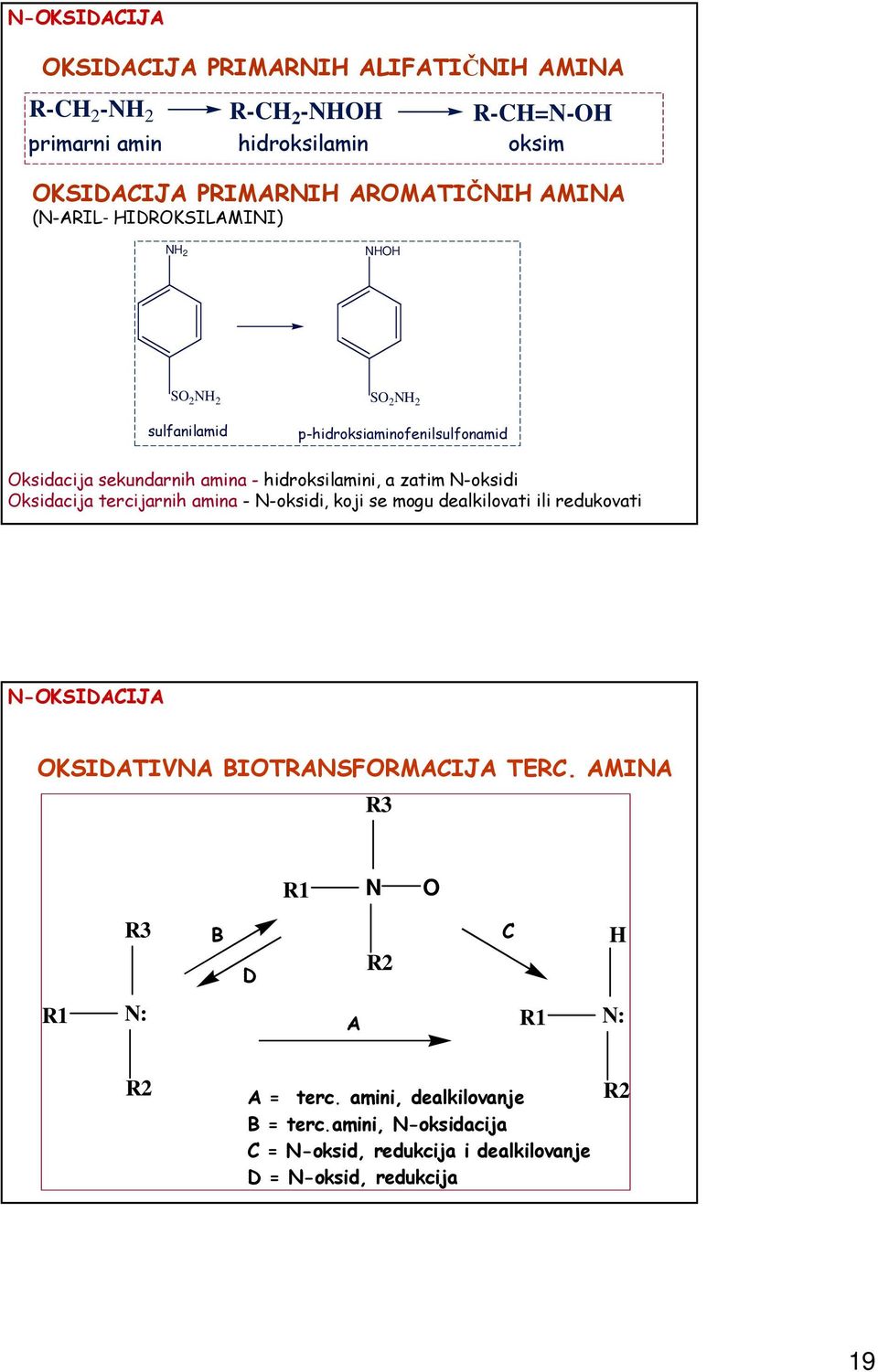 ksidacija tercijarnih amina - -oksidi, koji se mogu dealkilovati ili redukovati -KIDAIJA KIDATIVA BITRAFRMAIJA TER.