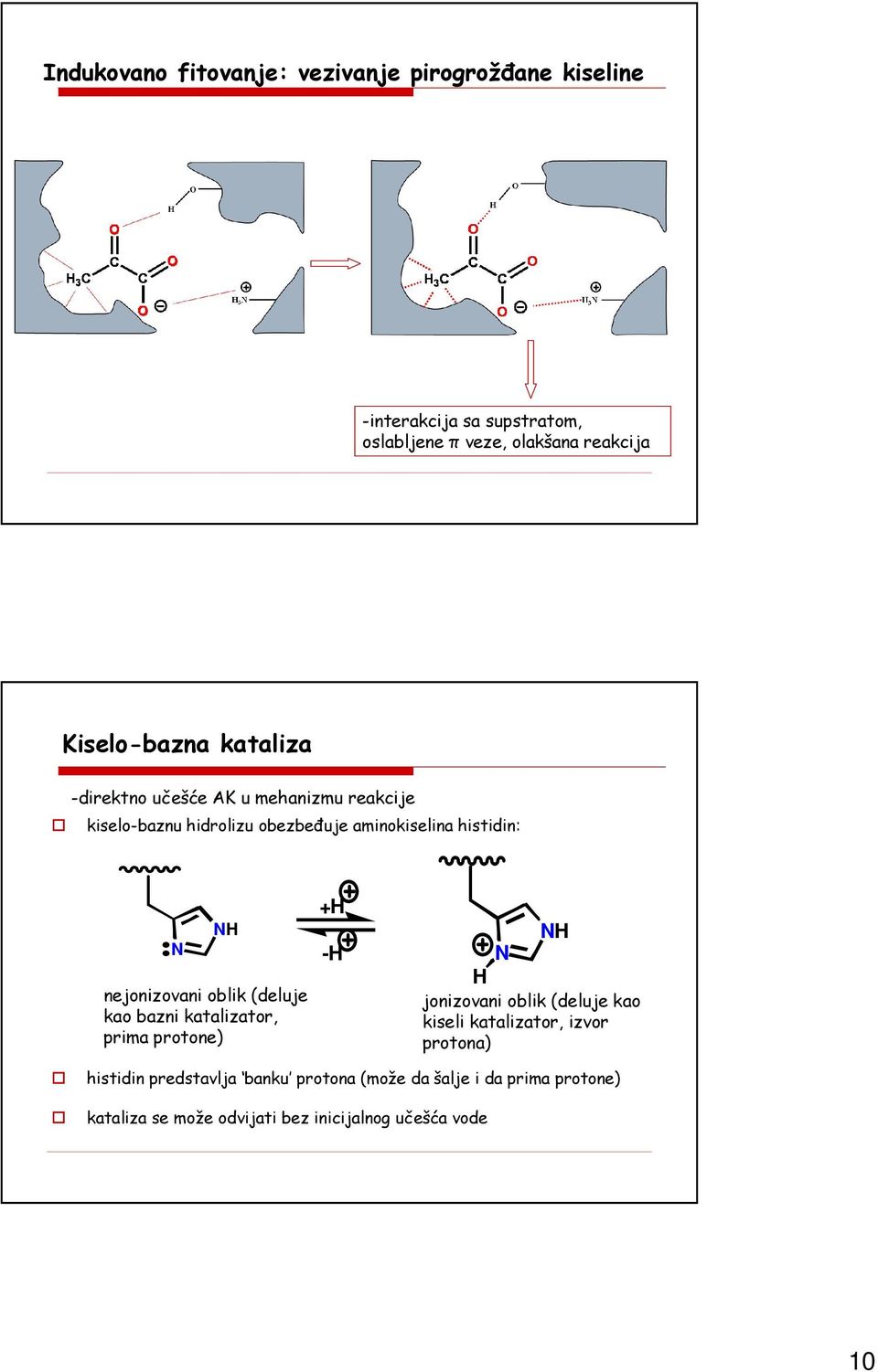 nejonizovani oblik (deluje kao bazni katalizator, prima protone) +H NH -H N H jonizovani oblik (deluje kao kiseli katalizator,