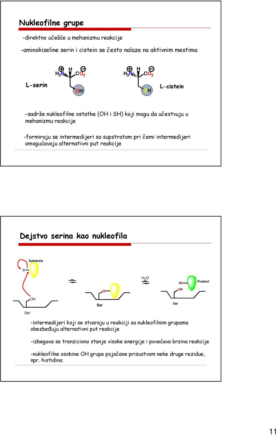 alternativni put reakcije Dejstvo serina kao nukleofila Substrate X H 2 O HO Product O OH Ser OH Ser Ser -intermedijeri koji se stvaraju u reakciji sa nukleofilnim grupama