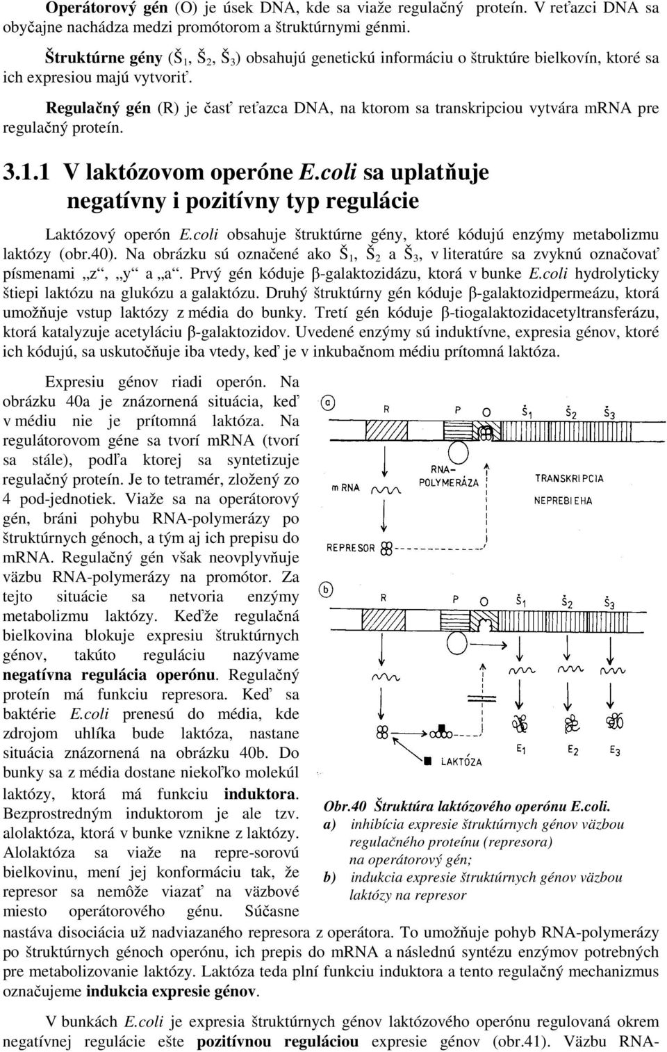 Regulačný gén (R) je časť reťazca DNA, na ktorom sa transkripciou vytvára mrna pre regulačný proteín. 3.1.1 V laktózovom operóne E.