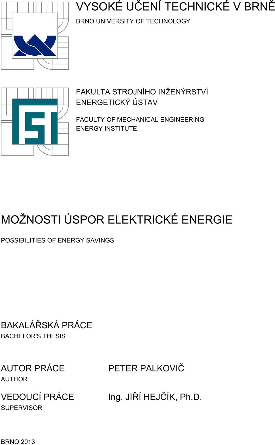 INSTITUTE POSSIBILITIES OF ENERGY SAVINGS BAKALÁŘSKÁ PRÁCE BACHELOR'S THESIS