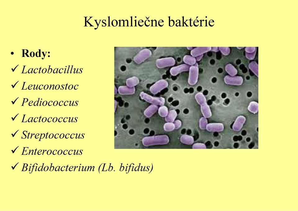 Pediococcus Lactococcus