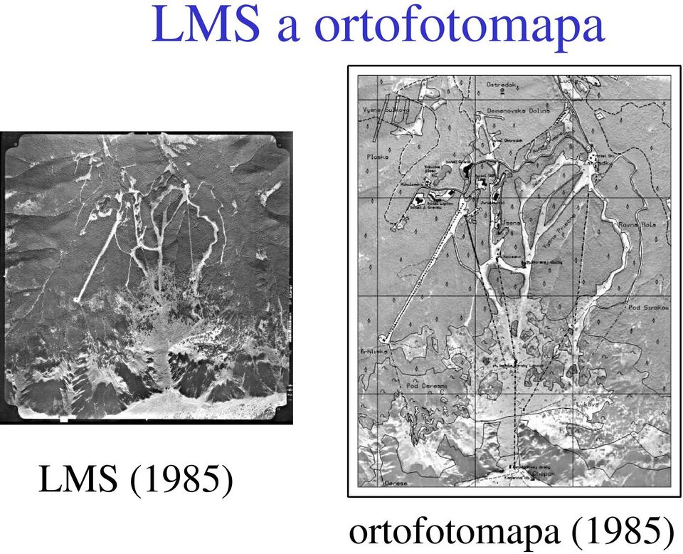 LMS (1985) 