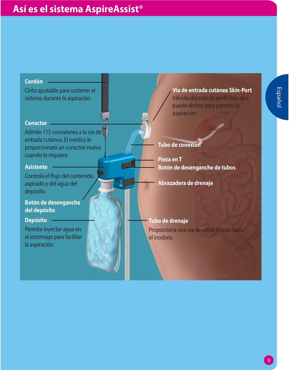 Botón de desenganche del depósito Depósito Permite inyectar agua en el estómago para facilitar la aspiración.