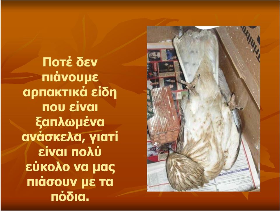 ανάσκελα, γιατί είναι πολύ