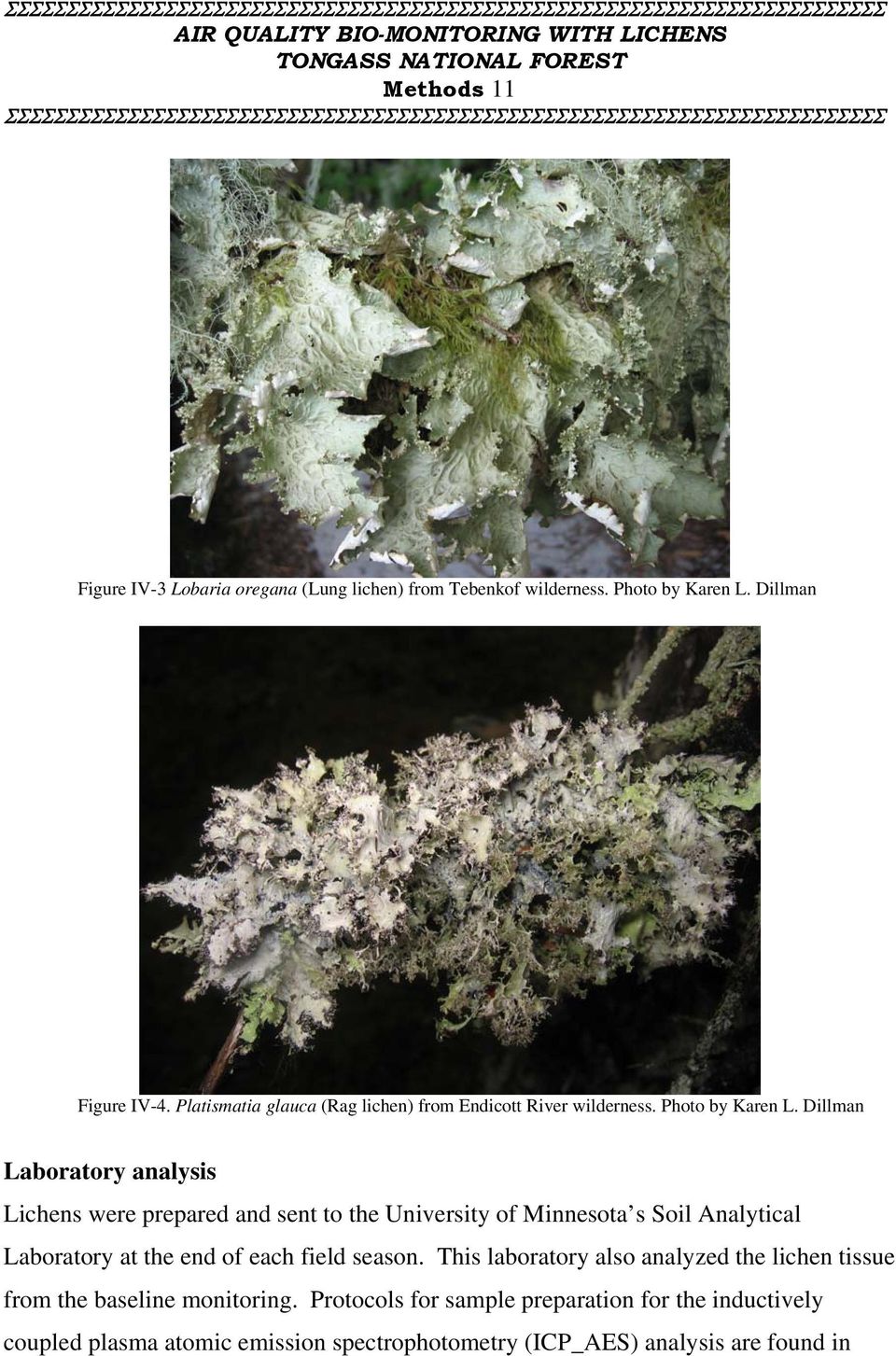 Dillman Laboratory analysis Lichens were prepared and sent to the University of Minnesota s Soil Analytical Laboratory at the end of each