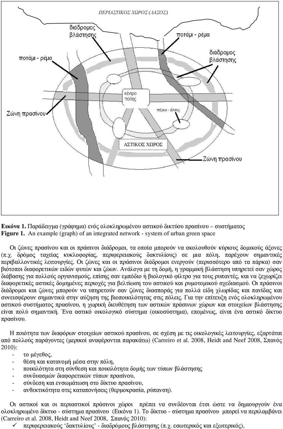 δρόµος ταχείας κυκλοφορίας, περιφερειακούς δακτυλίους) σε µια πόλη, παρέχουν σηµαντικές περιβαλλοντικές λειτουργίες.