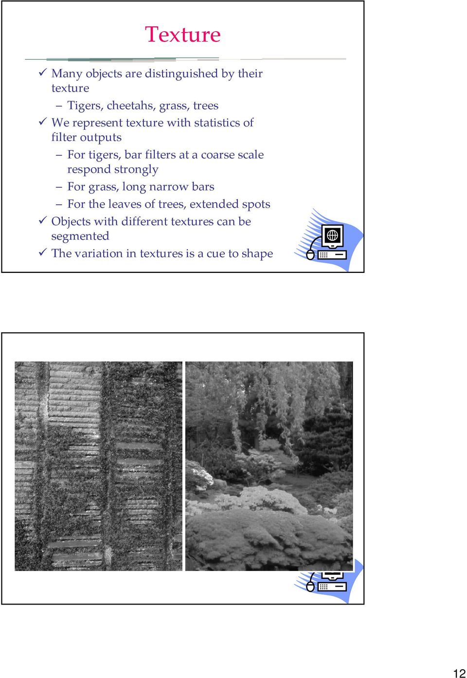 scale respond strongly For grass, long narrow bars For the leaves of trees, extended spots