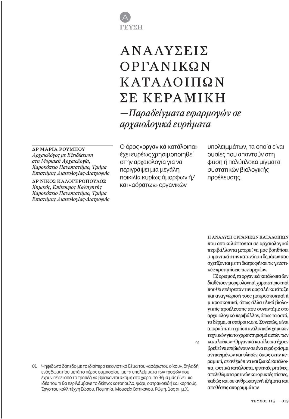 χρησιμοποιηθεί στην αρχαιολογία για να περιγράψει μια μεγάλη ποικιλία κυρίως άμορφων ή/ και «αόρατων» οργανικών υπολειμμάτων, τα οποία είναι ουσίες που απαντούν στη φύση ή πολύπλοκα μίγματα