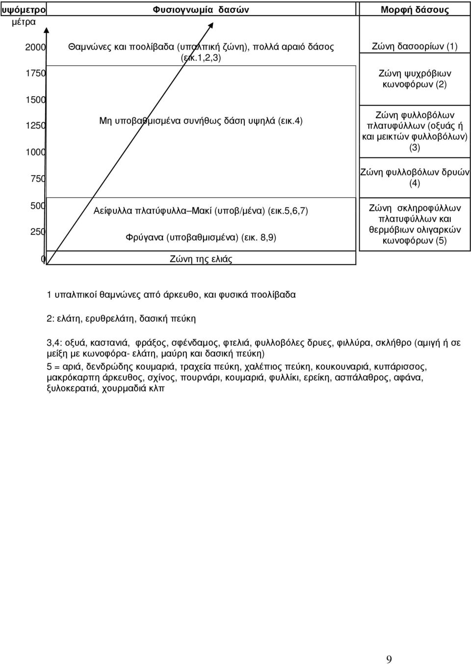 4) Ζώνη ψυχρόβιων κωνοφόρων (2) Ζώνη φυλλοβόλων πλατυφύλλων (οξυάς ή και µεικτών φυλλοβόλων) (3) 750 500 250 Αείφυλλα πλατύφυλλα Μακί (υποβ/µένα) (εικ.5,6,7) Φρύγανα (υποβαθµισµένα) (εικ.