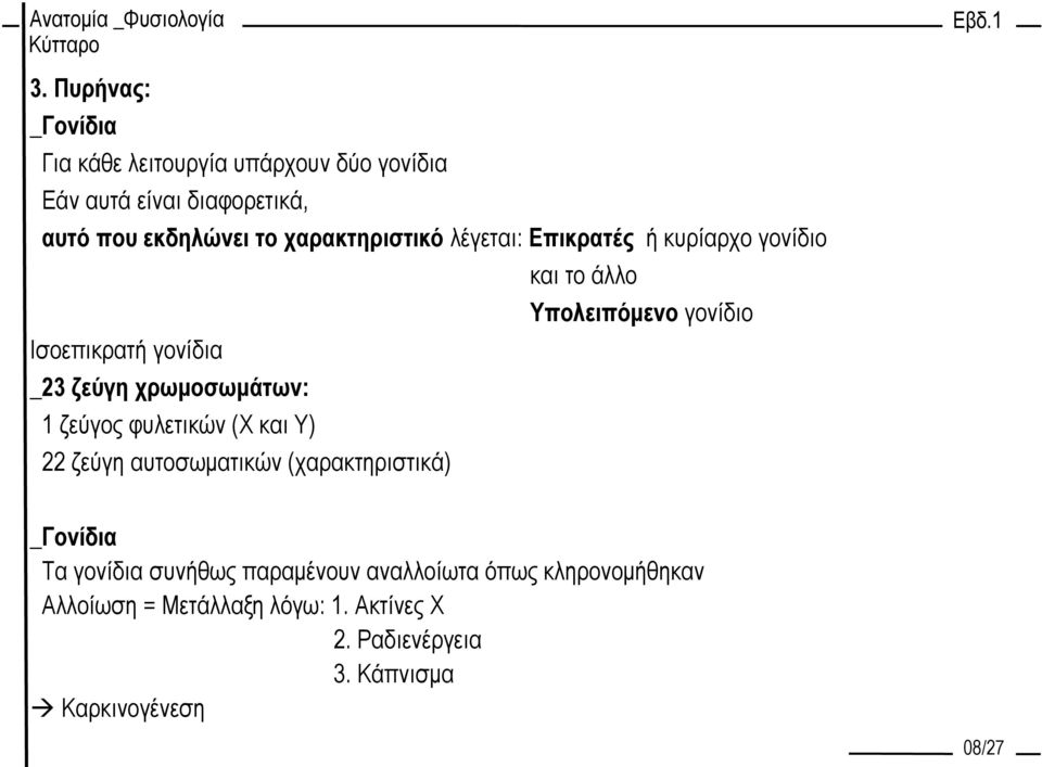 χρωμοσωμάτων: 1 ζεύγος φυλετικών (Χ και Υ) 22 ζεύγη αυτοσωματικών (χαρακτηριστικά) _Γονίδια Τα γονίδια συνήθως