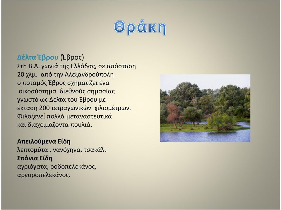 γνωστό ως Δέλτα του Έβρου με έκταση 200 τετραγωνικών χιλιομέτρων.