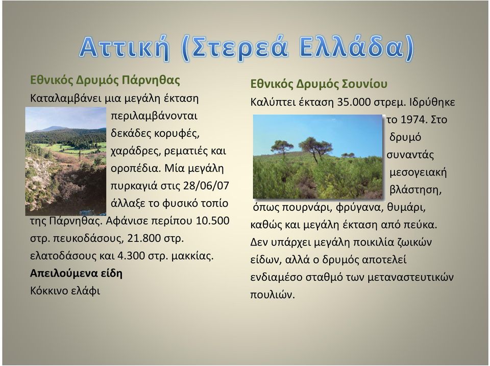 μακκίας. Απειλούμενα είδη Κόκκινο ελάφι Εθνικός Δρυμός Σουνίου Καλύπτει έκταση 35.000 στρεμ. Ιδρύθηκε το 1974.