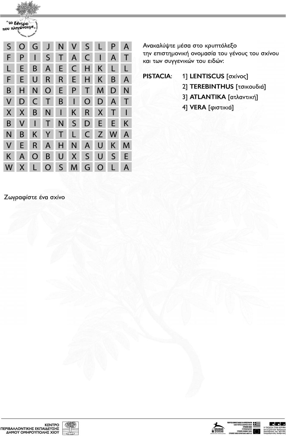 PISTACIA: 1] LENTISCUS [σχίνος] 2] TEREBINTHUS