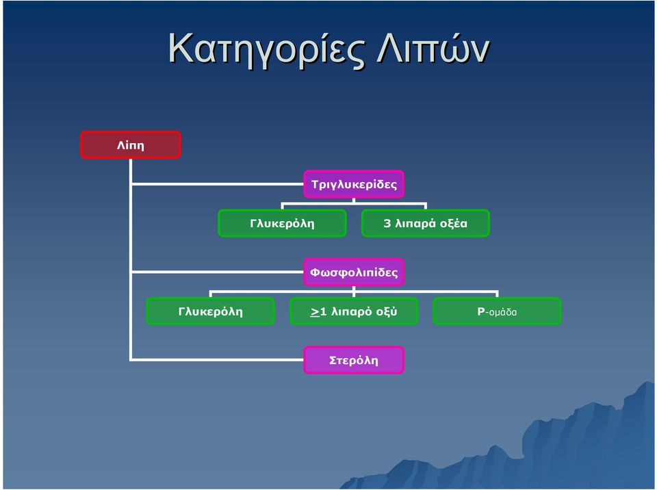 λιπαρά οξέα Φωσφολιπίδες