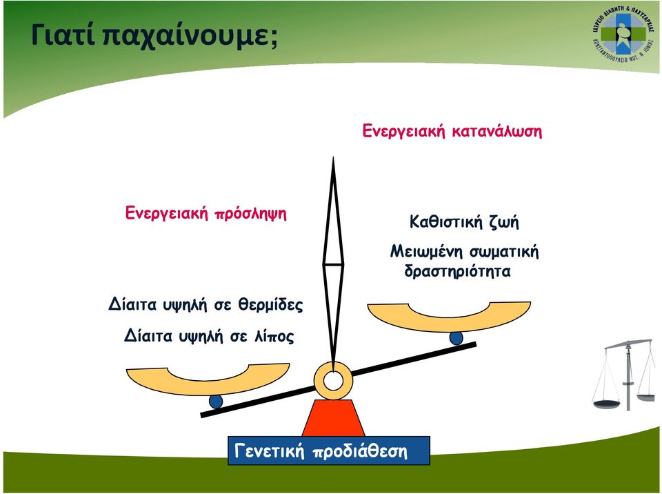 σωματική δραστηριότητα Δίαιτα υψηλή σε