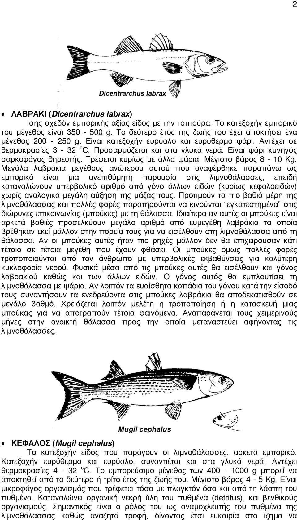 Είναι ψάρι κυνηγός σαρκοφάγος θηρευτής. Τρέφεται κυρίως με άλλα ψάρια. Μέγιστο βάρος 8-10 Kg.