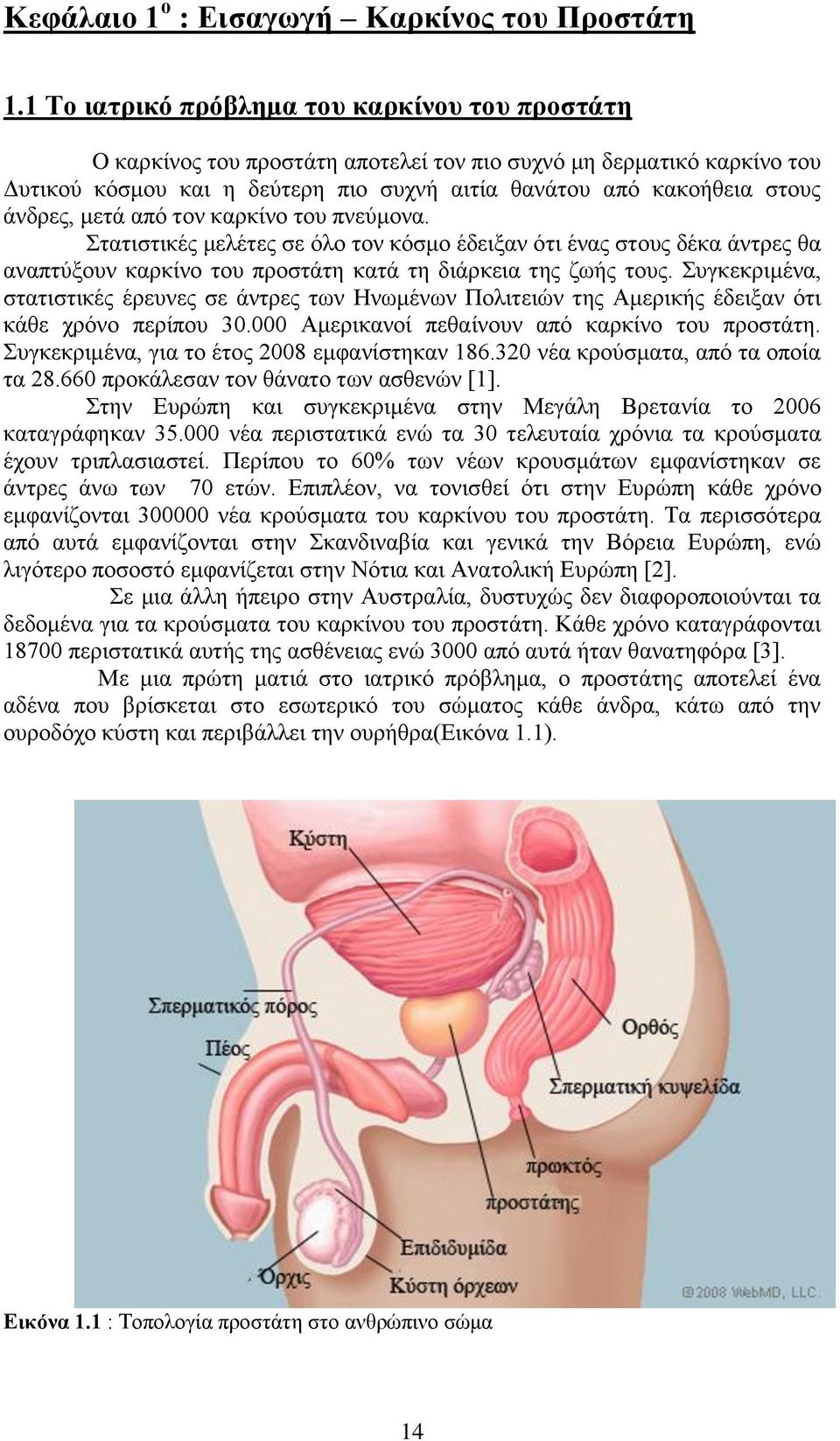 άλδξεο, κεηά απφ ηνλ θαξθίλν ηνπ πλεχκνλα. ηαηηζηηθέο κειέηεο ζε φιν ηνλ θφζκν έδεημαλ φηη έλαο ζηνπο δέθα άληξεο ζα αλαπηχμνπλ θαξθίλν ηνπ πξνζηάηε θαηά ηε δηάξθεηα ηεο δσήο ηνπο.