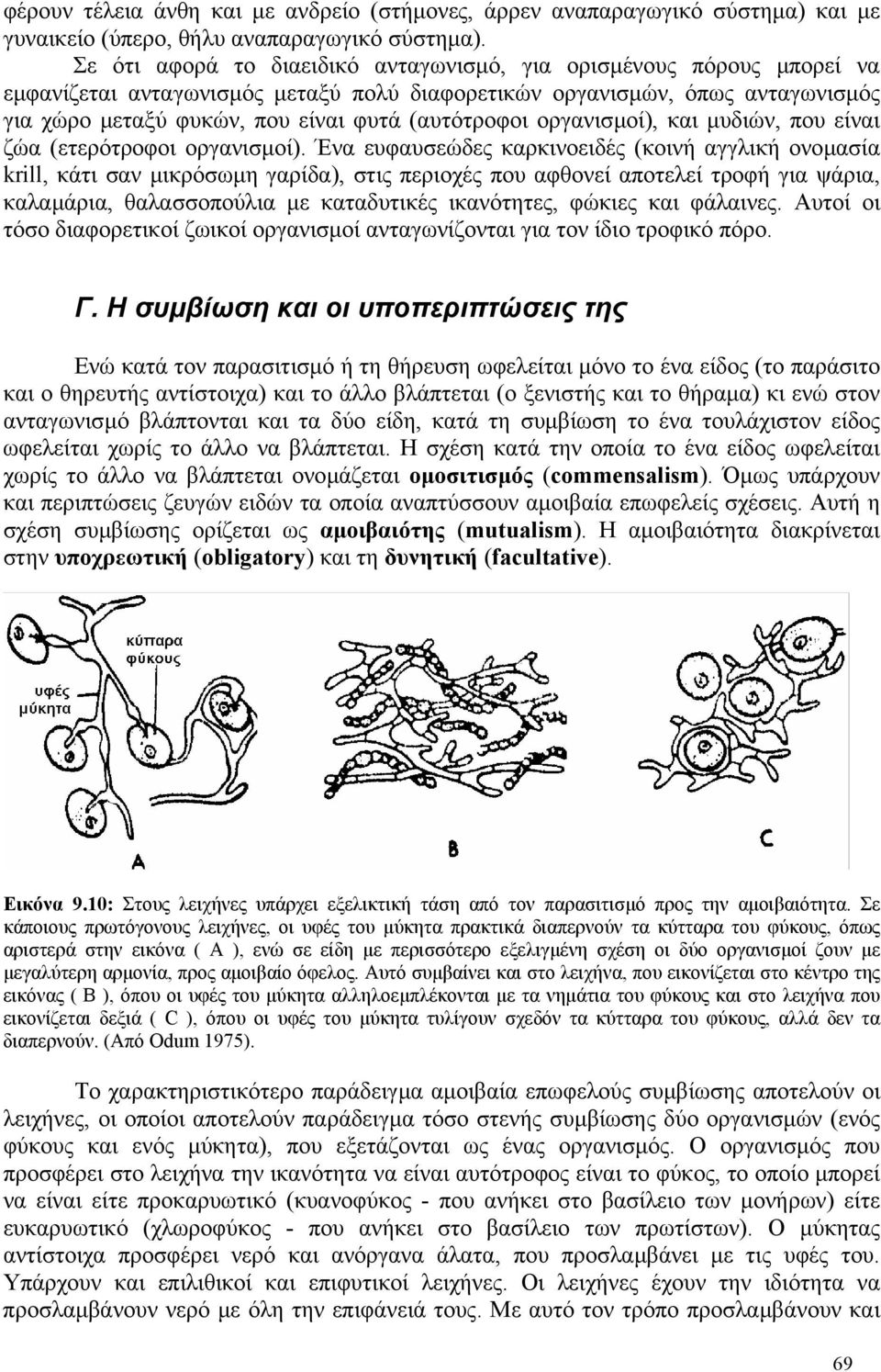 (αυτότροφοι οργανισµοί), και µυδιών, που είναι ζώα (ετερότροφοι οργανισµοί).