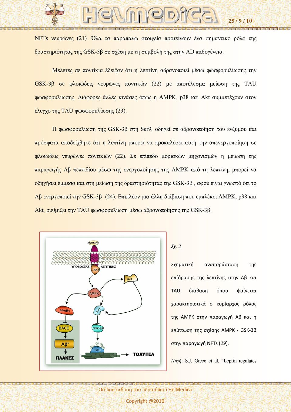 Διάφορες άλλες κινάσες όπως η AMPK, p38 και Akt συμμετέχουν στον έλεγχο της TAU φωσφορυλίωσης (23).