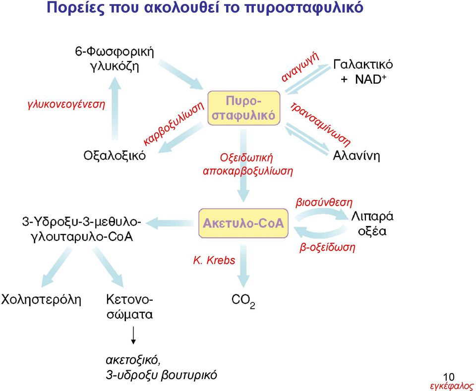 αποκαρβοξυλίωση βιοσύνθεση Κ.