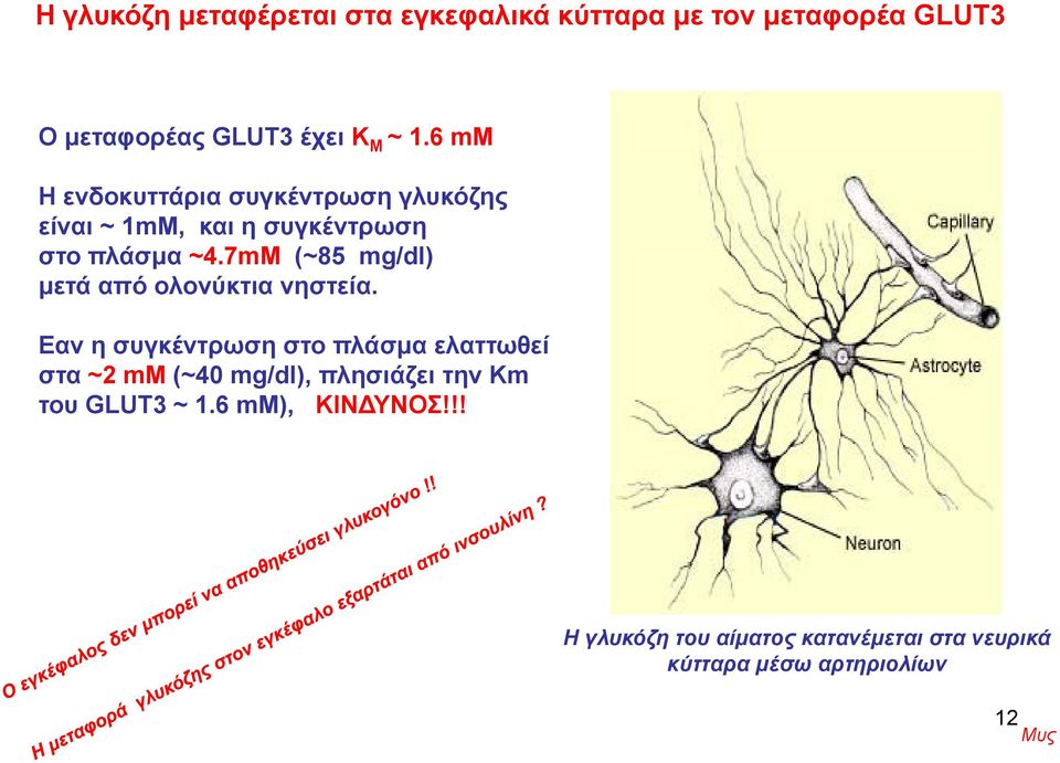 7mM 47 (~85 mg/dl) μετά από ολονύκτια νηστεία.