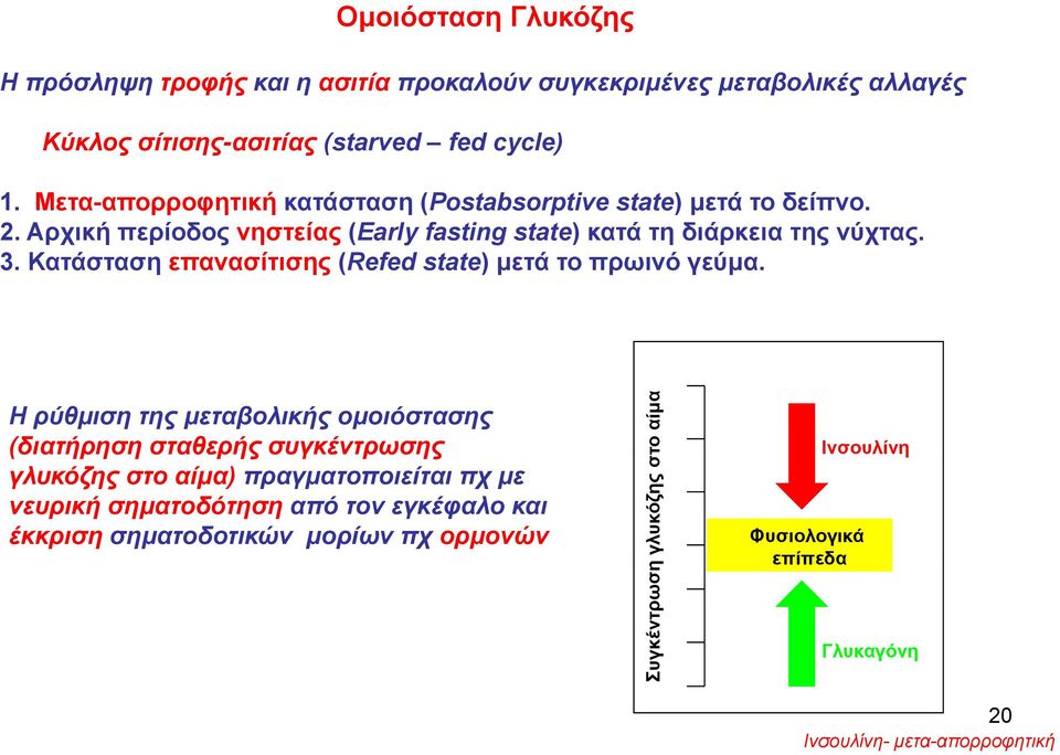 Κατάσταση επανασίτισης (Refed state) μετά το πρωινό γεύμα.