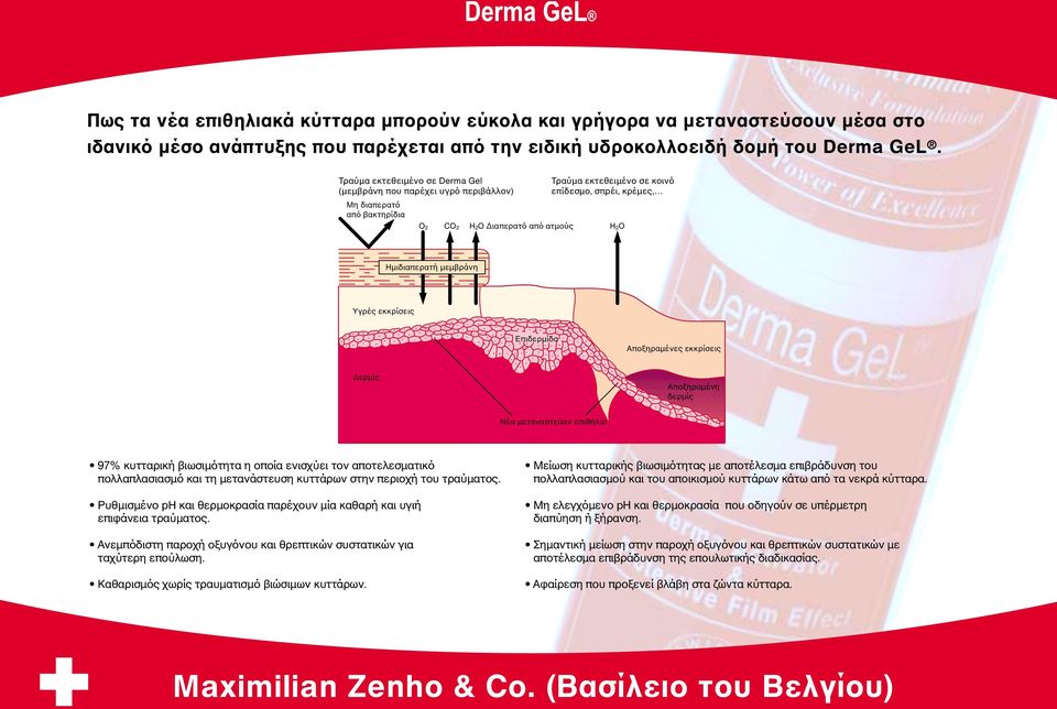 Ηµιδιαπερατή µεµβράνη Υγρές εκκρίσεις Επιδερµίδα Αποξηραµένες εκκρίσεις ερµίς Αποξηραµένη δερµίς Νέο µεταναστεύον επιθήλιο 97% κυτταρική βιωσιµότητα η οποία ενισχύει τον αποτελεσµατικό πολλαπλασιασµό