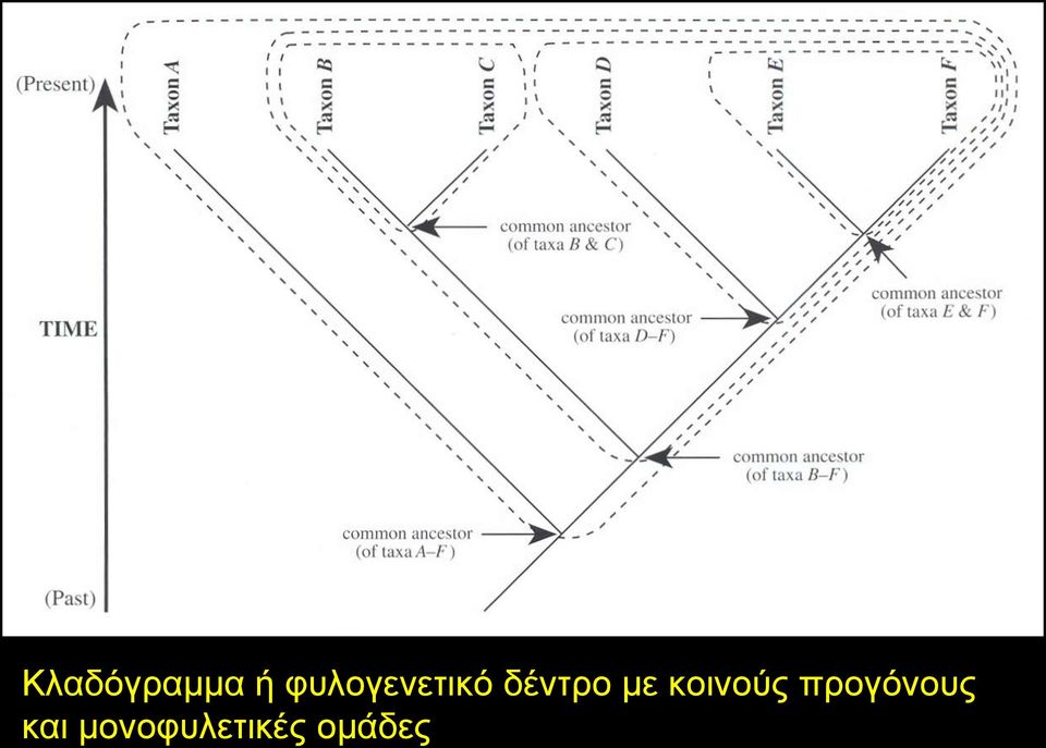 κε θνηλνύο