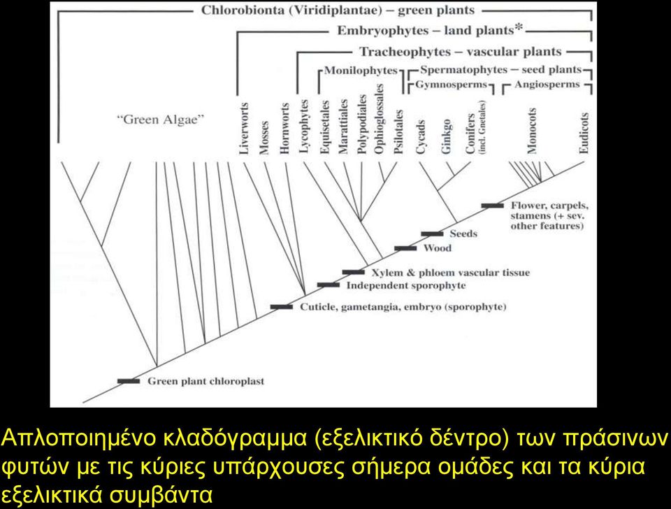 θπηώλ κε ηηο θύξηεο ππάξρνπζεο