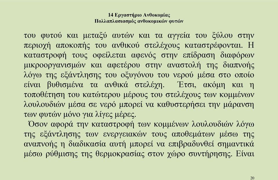 βυθισμένα τα ανθικά στελέχη.