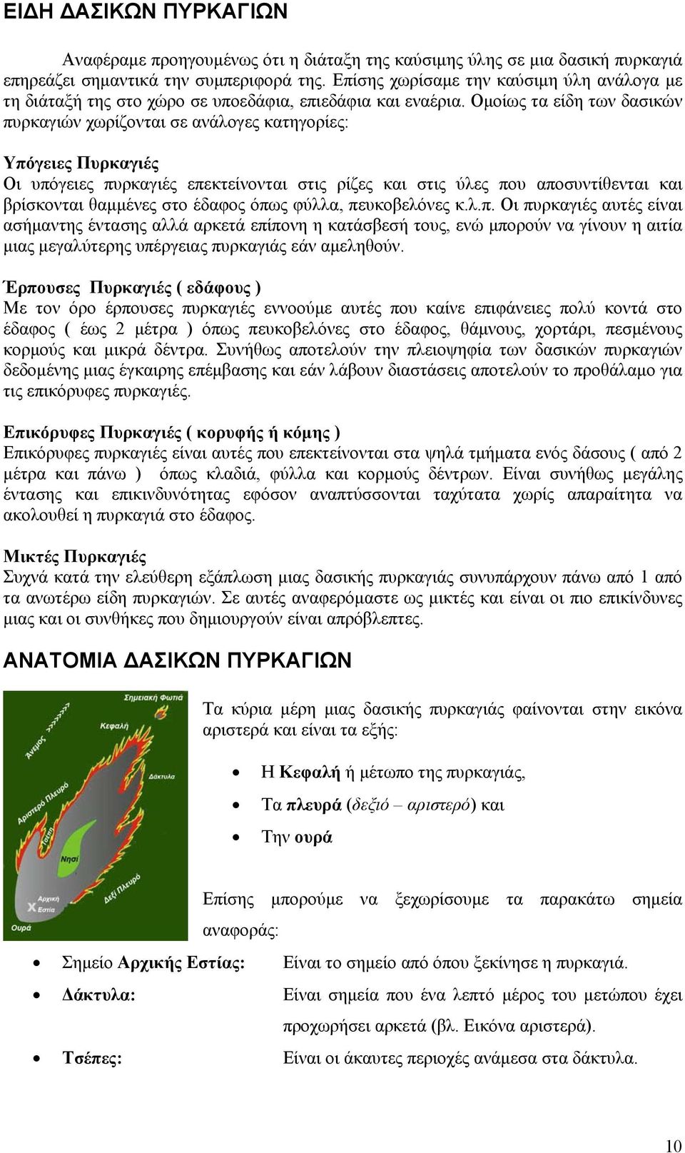 Ομοίως τα είδη των δασικών πυρκαγιών χωρίζονται σε ανάλογες κατηγορίες: Υπόγειες Πυρκαγιές Οι υπόγειες πυρκαγιές επεκτείνονται στις ρίζες και στις ύλες που αποσυντίθενται και βρίσκονται θαμμένες στο