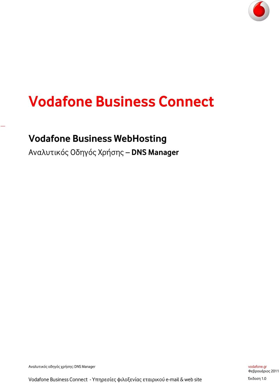 χρήσης: DNS Manager Vodafone Business Connect -