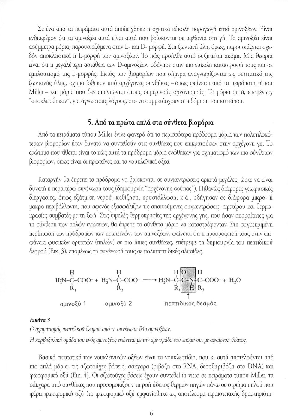 Μια θεωρία είναι ότι η μεγαλύτερη αστάθεια των D-αμινοξέων οδήγησε στην πιο εύκολη καταστροφή τους και σε εμπλουτισμό της L-μορφής.