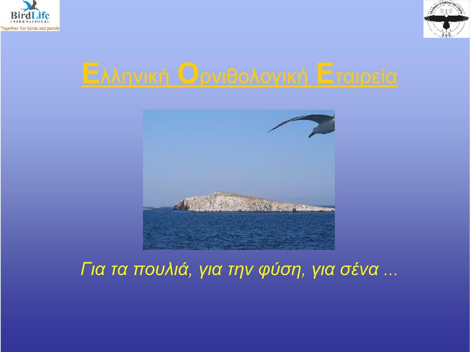 Εταιρεία Για τα